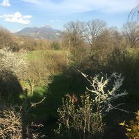 Fotos de Celine CONTAT