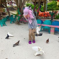 Wan Nor Ain的照片