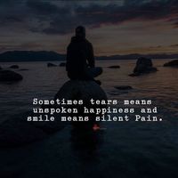 Alvin Sloone的照片