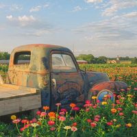 Nga Khổng Thị's Photo