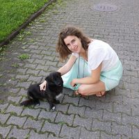 Joana Gil Domingos的照片