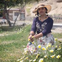 Jerry Sojan的照片