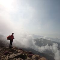 erfan namian的照片