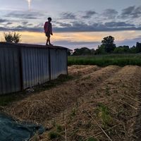 Fotos de Alex Pezzani