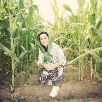 Mahda Hasanlu's Photo