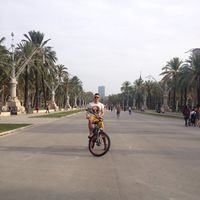 Photos de Volnei Morae