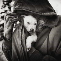 Chafou Plulatrouille的照片