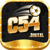 C54  digital的照片