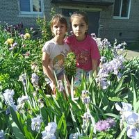 Елена Дрозденко's Photo