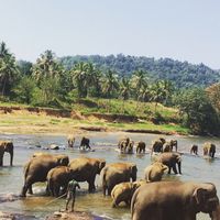 Matt Mcclean的照片