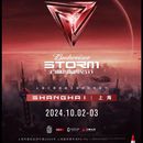 STORM Techno Music Festival's picture