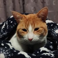 Esteban Navarro's Photo