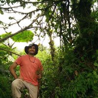 Fotos de Sergio Castro