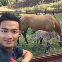 Fotos de Michael Mak