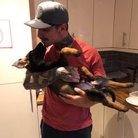 Фотографии пользователя Paulo Baratum