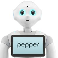 Photos de Pepper Tamale