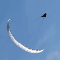 Sébastien Schropff's Photo