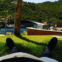 Edu  Menezes's Photo