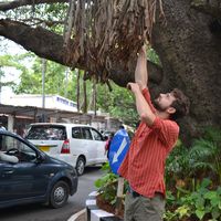 pierre dudouet的照片