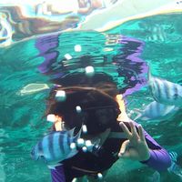 Fotos von Norei Villamater