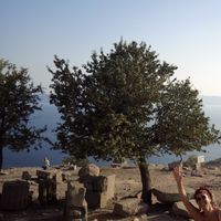 istannebula的照片