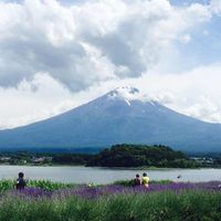 Yamaguchi Shiho's Photo