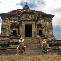 Mozhde Amiri的照片