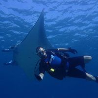 Fotos von Wesley Himpe