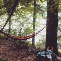 Erika Cordioli的照片