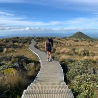 Chantelle Rickerby's Photo