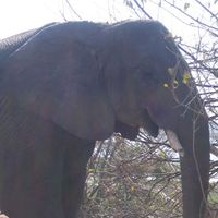 Denise Schöpp的照片