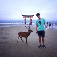 Mathieu Fredj的照片