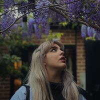 Kimia Ansari的照片