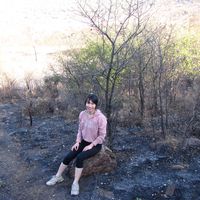 Le foto di Alicia Chow