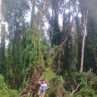 Dinh Hoàng的照片