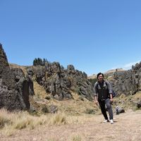 Julio cesar Olarte castro's Photo