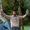 nader guesmi's Photo