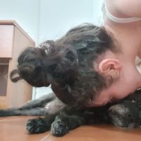 Fotos de Giulia Lechner