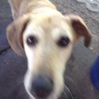 Moritz Krüger的照片