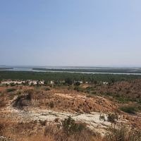 Shannice Tee的照片