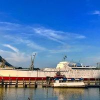 Steve Connell's Photo