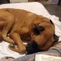 Carla Dimar的照片