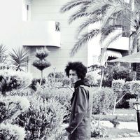 Omar  Salah El-Din的照片