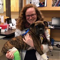 Sierra Edelsohn's Photo