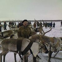 Alex Smakouz's Photo