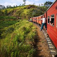 Ozkan Taskin的照片