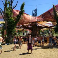 Stijn Cuppes的照片