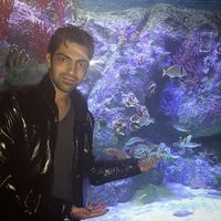 Ali Tavakoli's Photo