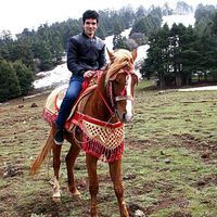 Mustapha EL Asri's Photo