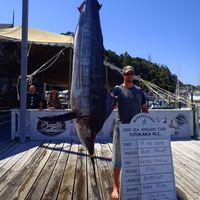 Фотографии пользователя Alex Miller